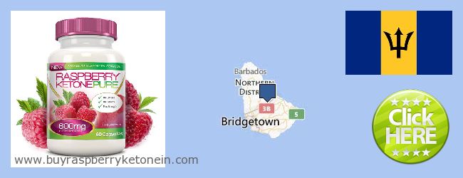 Dove acquistare Raspberry Ketone in linea Barbados